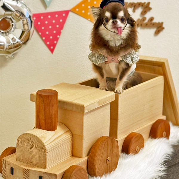 木製のおもちゃの汽車とチワワ